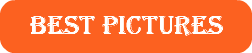 BEST PICTURES